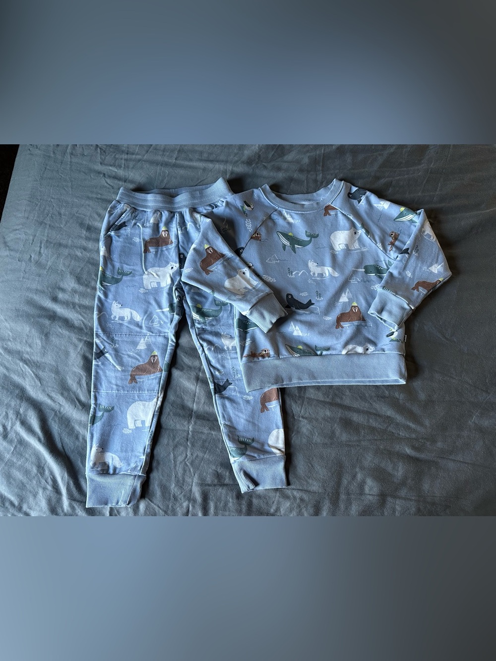 Little Sleepies Light Blue Arctic Animals Set